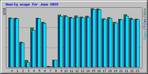 Hourly usage for June 2025